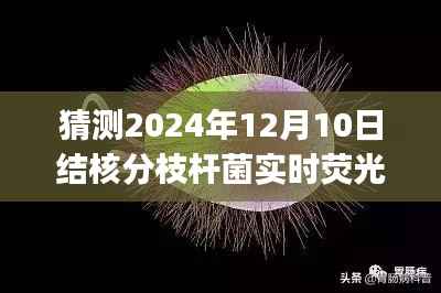 揭秘未來，結(jié)核分枝桿菌實時熒光PCR陽性檢測背后的故事及意義解讀（2024年12月10日）