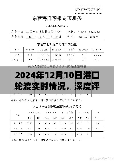 深度評測，2024年港口輪渡運(yùn)營實(shí)錄——以12月10日實(shí)時情況為例的全面解讀