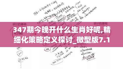 347期今晚開什么生肖好呢,精細(xì)化策略定義探討_微型版7.190