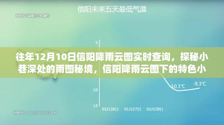 信陽降雨云圖下的奇遇記，雨巷深處的秘境與特色小店探索之旅