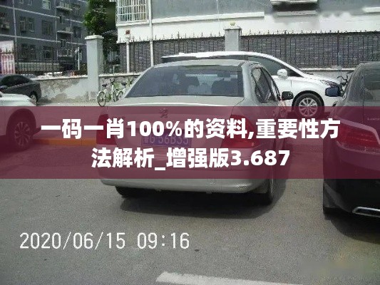 一碼一肖100%的資料,重要性方法解析_增強(qiáng)版3.687