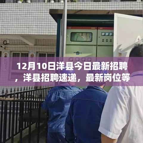 洋縣最新招聘速遞，12月10日崗位更新，挑戰(zhàn)你的職業(yè)夢(mèng)想