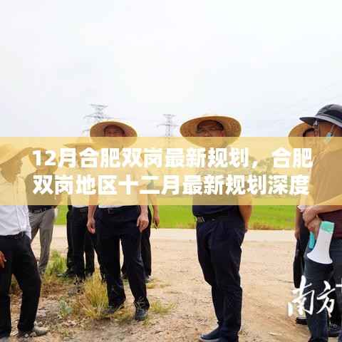 合肥雙崗地區(qū)12月最新規(guī)劃深度評測與介紹