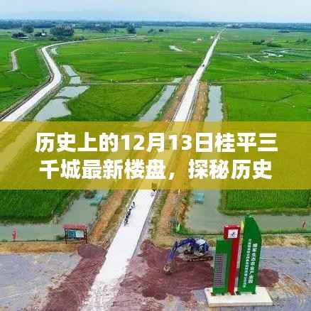 探秘歷史中的桂平三千城，寶藏樓盤與特色小店，12月13日最新樓盤揭秘