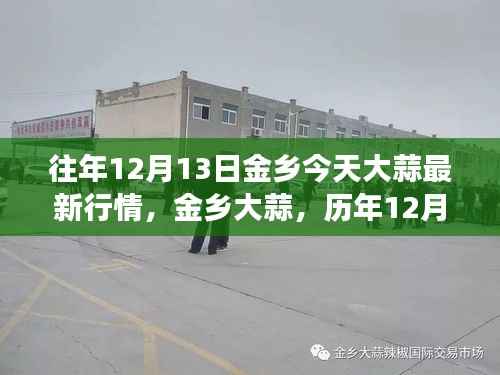 金鄉(xiāng)大蒜行情分析，歷年12月13日行情脈絡(luò)與產(chǎn)業(yè)影響揭秘