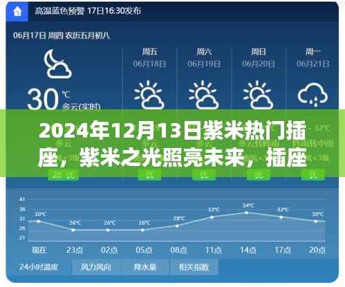 紫米插座背后的勵(lì)志故事與成長之路，照亮未來的紫米之光，熱門插座揭秘（2024年12月13日）