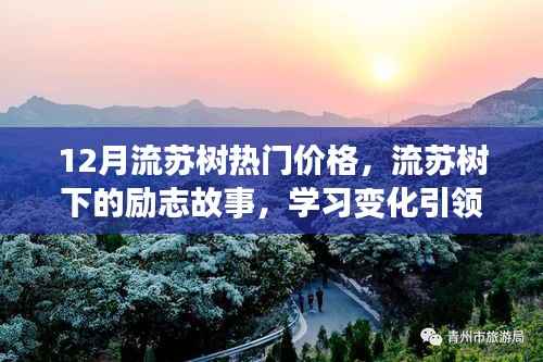 流蘇樹下的勵志故事，熱門價格引領(lǐng)自信與成就，照亮人生旅途
