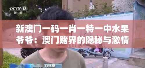 新澳門一碼一肖一特一中水果爺爺：澳門賭界的隱秘與激情