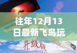 最新飛鳥玩具屋，探秘夢幻樂園的獨家體驗