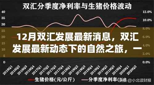 雙匯發(fā)展最新動(dòng)態(tài)，自然之旅的心靈洗滌與內(nèi)心平靜的追求