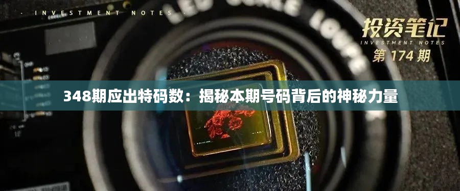 348期應(yīng)出特碼數(shù)：揭秘本期號碼背后的神秘力量