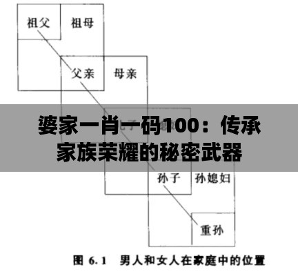 婆家一肖一碼100：傳承家族榮耀的秘密武器