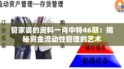 管家婆的資料一肖中特46期：揭秘資金流動性管理的藝術