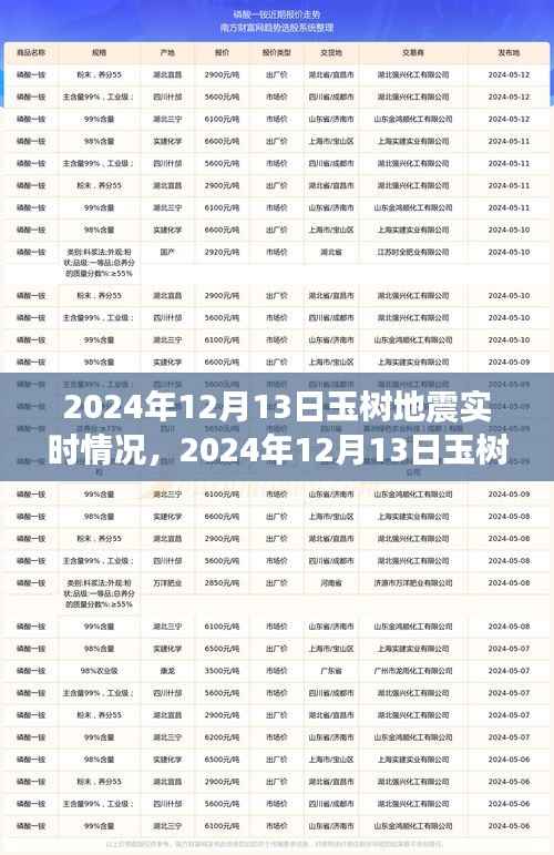 玉樹地震實時關(guān)注，共抗天災(zāi)，心系玉樹——最新地震動態(tài)報告（2024年12月13日）