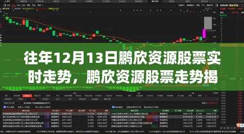 鵬欣資源股票走勢(shì)揭秘，科技引領(lǐng)投資新紀(jì)元的前衛(wèi)體驗(yàn)，實(shí)時(shí)走勢(shì)分析（往年12月13日）