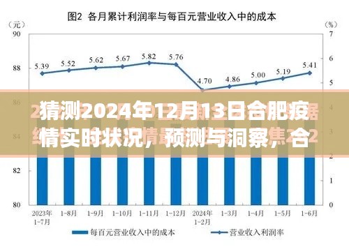 合肥疫情預測洞察，展望2024年12月13日的實時狀況