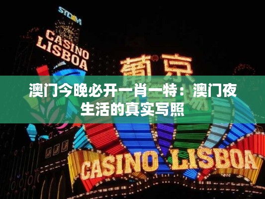澳門今晚必開一肖一特：澳門夜生活的真實寫照