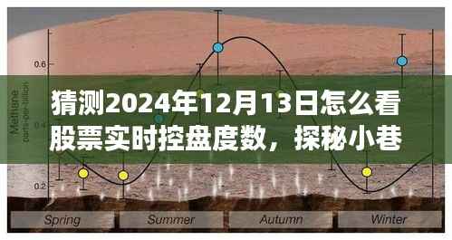 探秘股票控盤奧秘，預(yù)見(jiàn)未來(lái)股市風(fēng)向標(biāo)之旅，實(shí)時(shí)掌握股票控盤度數(shù)揭秘特色小店的股市預(yù)測(cè)之旅（2024年12月13日）