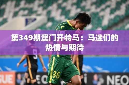 第349期澳門(mén)開(kāi)特馬：馬迷們的熱情與期待