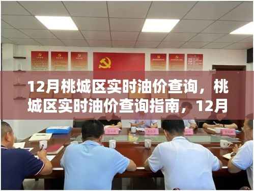 桃城區(qū)實時油價查詢指南，12月油價走勢分析與建議