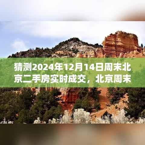 北京周末二手房市場(chǎng)風(fēng)云變幻，預(yù)測(cè)2024年12月14日實(shí)時(shí)成交走勢(shì)