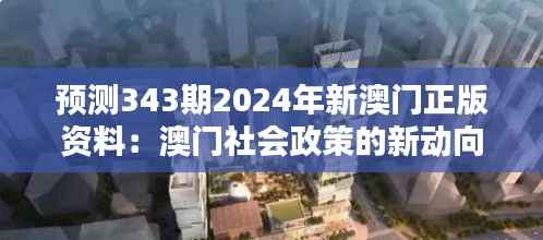 預測343期2024年新澳門正版資料：澳門社會政策的新動向與改革