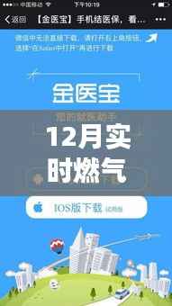 手把手教你查12月實時燃氣費，小紅書熱門推薦指南