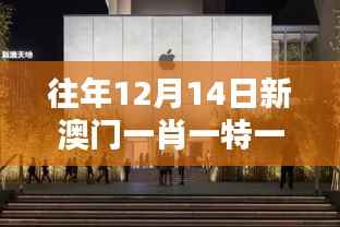 往年12月14日新澳門一肖一特一中：澳門年度盛宴的深刻感慨