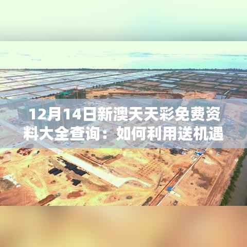 12月14日新澳天天彩免費(fèi)資料大全查詢：如何利用送機(jī)遇創(chuàng)造財(cái)富