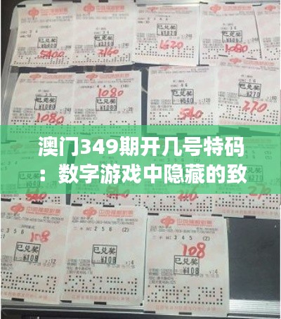 澳門349期開幾號(hào)特碼：數(shù)字游戲中隱藏的致富秘訣