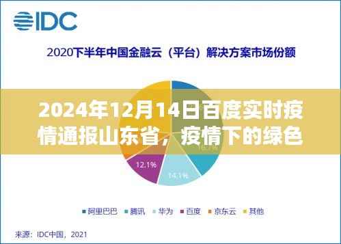 山東省疫情通報(bào)，自然美景呼喚腳步，綠色避風(fēng)港助力抗疫之路