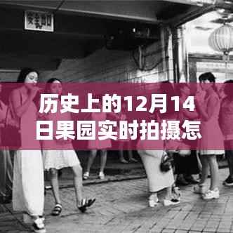 歷史上的12月14日果園實時拍攝時間設置方法與技巧
