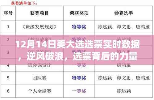 12月14日美國大選選票實時數(shù)據(jù)，洞察選票背后的力量，展望未來
