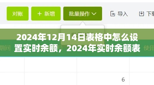 2024年實(shí)時(shí)余額表格設(shè)置詳解，操作指南與觀點(diǎn)分析