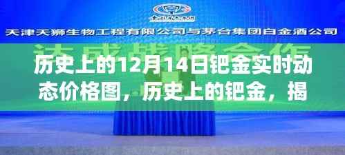 揭秘歷史鈀金實時動態(tài)價格圖，十二月十四日的背后故事