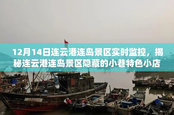 揭秘連云港連島景區(qū)隱藏小巷特色小店，實(shí)時(shí)探秘之旅（12月14日）