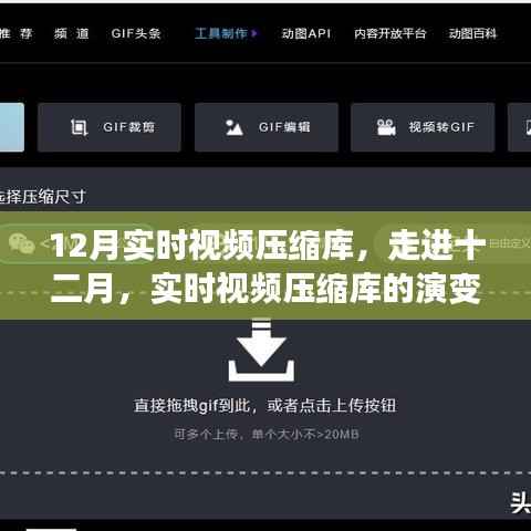 實(shí)時(shí)視頻壓縮庫(kù)演變與影響，十二月深度解析