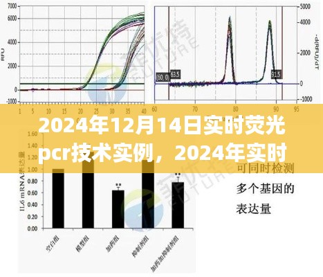 實時熒光PCR技術(shù)實例解析與應(yīng)用前景展望，聚焦2024年發(fā)展