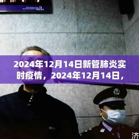 2024年12月14日新管肺炎實(shí)時觀察與深度解析，疫情動態(tài)及應(yīng)對策略