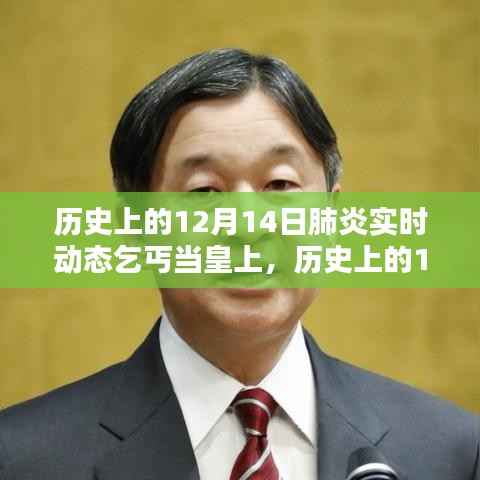 揭秘歷史上的特殊日子，肺炎動(dòng)態(tài)下的乞丐登基之路，探尋命運(yùn)轉(zhuǎn)折的12月14日