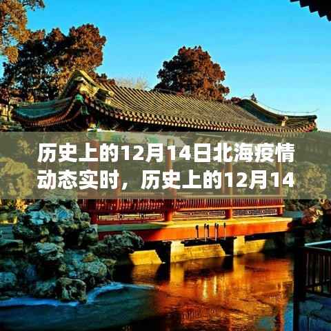歷史上的12月14日北海疫情動態(tài)實時，多維度視角下的審視與觀點闡述