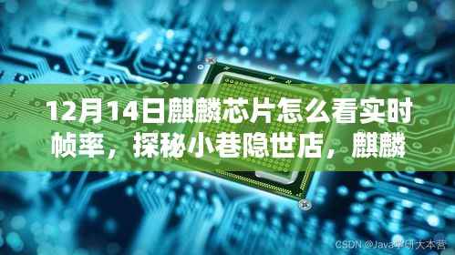 麒麟芯片下的實時幀率魔法，探秘小巷隱世店，12月14日實時幀率全解析
