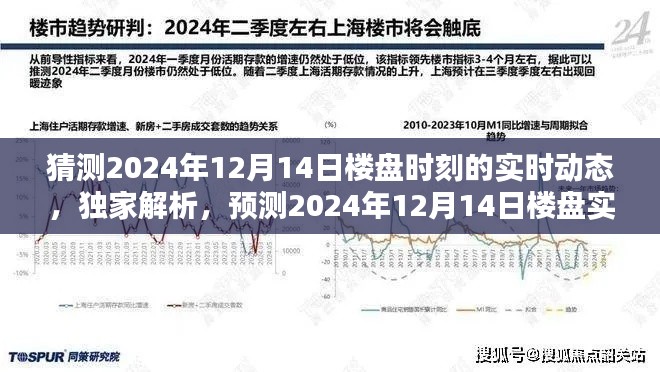 獨家預測，揭秘2024年12月14日樓盤實時動態(tài)全面評測與實時動態(tài)猜測分析