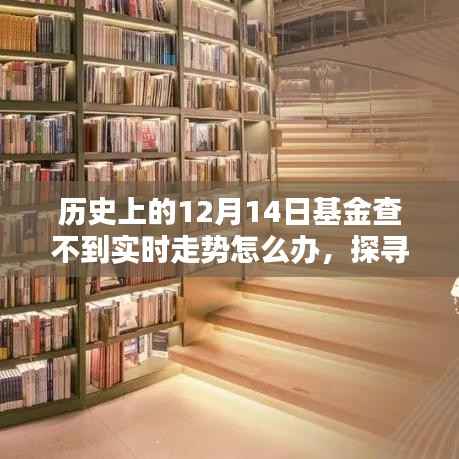 應(yīng)對基金實時走勢缺失，探尋歷史迷霧中的應(yīng)對之道在基金查不到實時走勢的12月14日