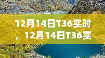 12月14日T36實(shí)時(shí)，自然美景探索之旅，尋求內(nèi)心平和與寧靜的時(shí)刻