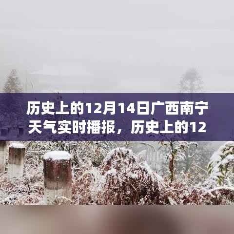 歷史上的廣西南寧12月14日天氣實(shí)時(shí)播報(bào)，探尋冬日天氣的變遷歷程