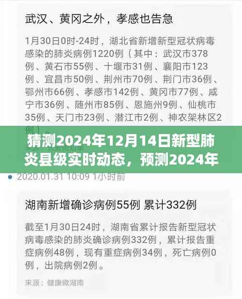 2024年12月14日新型肺炎縣級實時動態(tài)展望，預測與猜測返回搜狐查看更多信息