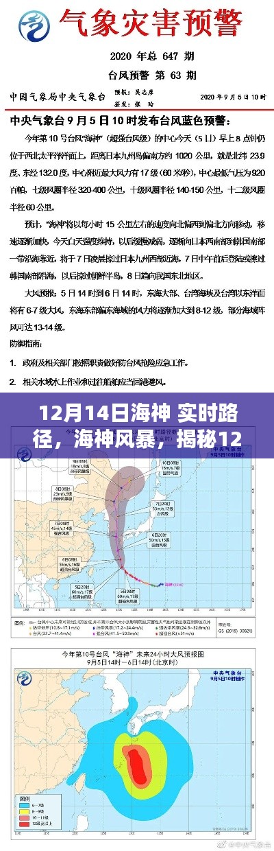 揭秘，12月14日海神風(fēng)暴的實時路徑與影響揭秘
