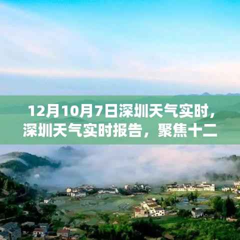 深圳天氣實(shí)時(shí)報(bào)告，聚焦十二月七日的氣候特點(diǎn)與變化