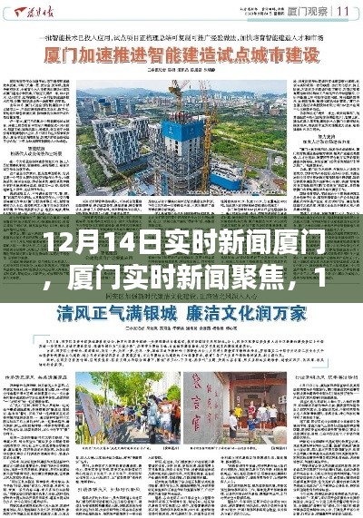 廈門實時新聞聚焦，深度解讀某某觀點，12月14日最新動態(tài)